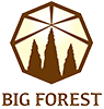 BIG FOREST